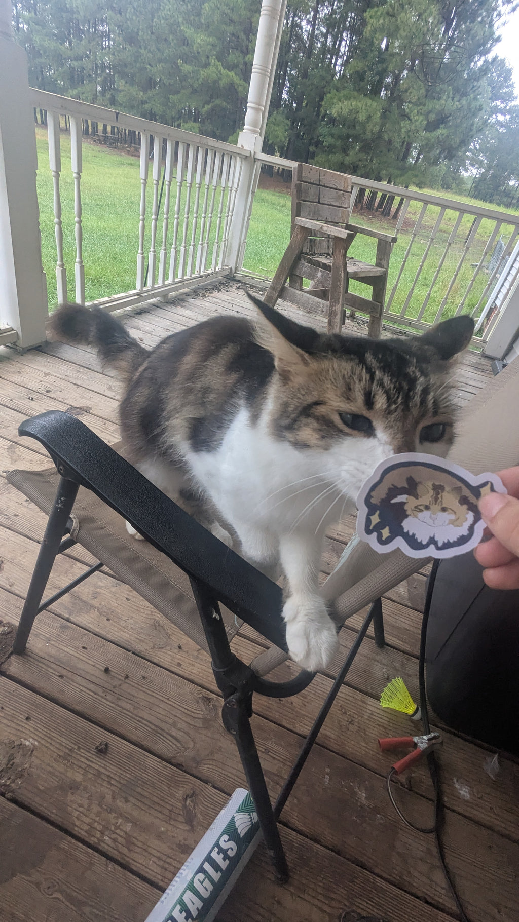 Cat Loaf Sticker